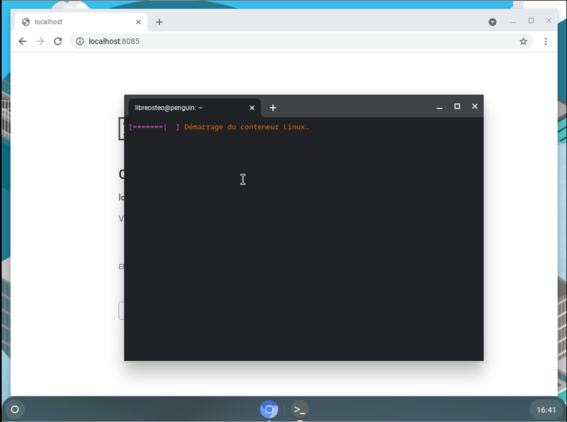 ChromeOs Linux container starting